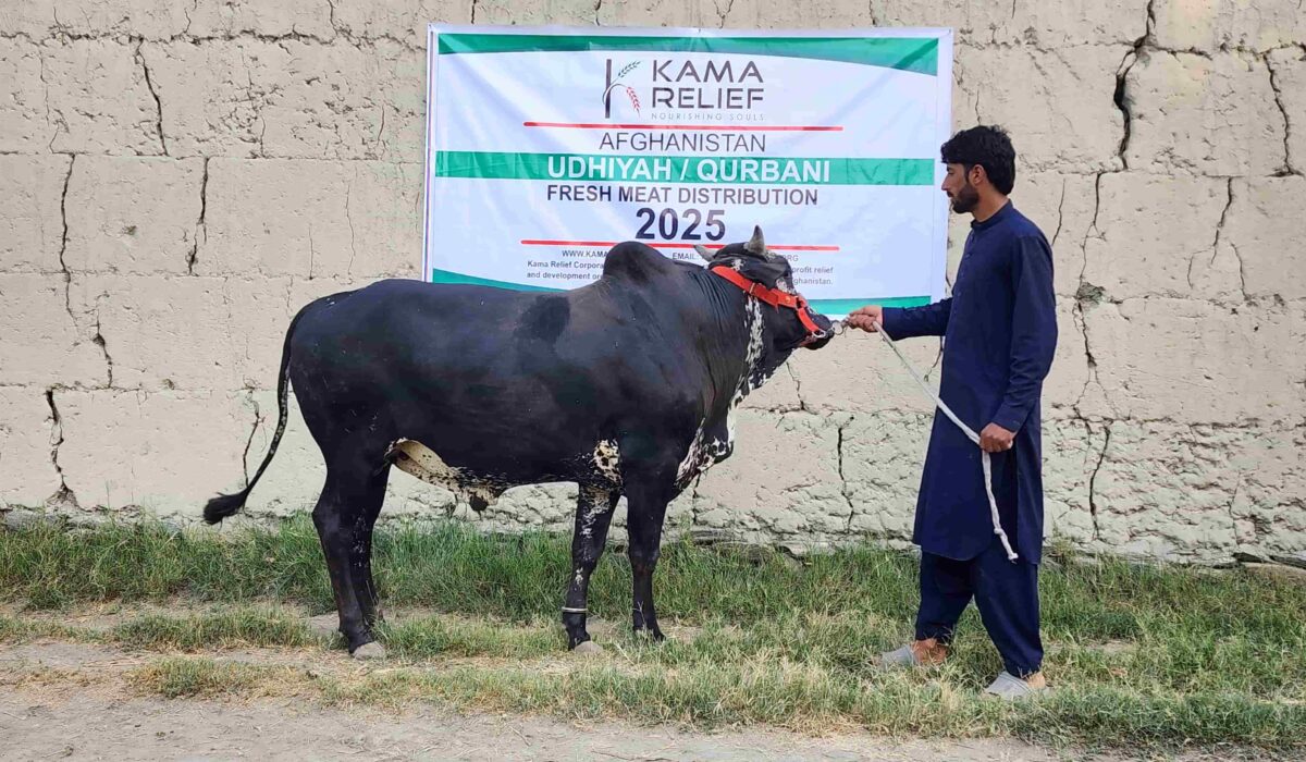 20250606_063056 20250606_063056